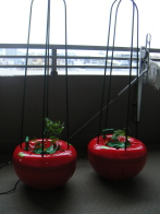 �z�[���n�C�|�j�J�@�ƒ�؉��~�j�g�}�g